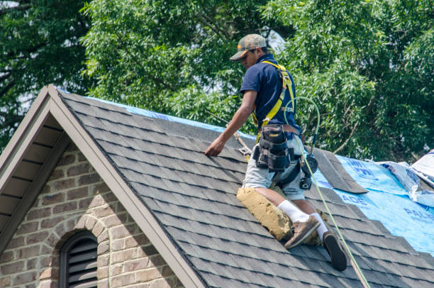 Best Metal Roofing Contractor  in Lakeside, VA